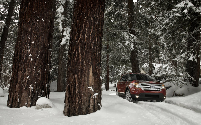 Red truck snowy forest tilt free wallpaper for desktop - medium preview image