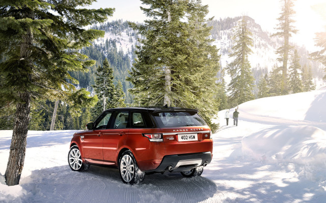 Red rover snowy woods bush free wallpaper for desktop - medium preview image