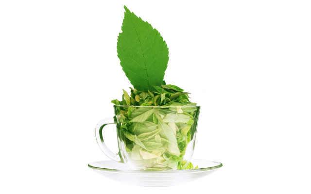 Green tea leaf saucer 3d free wallpaper for desktop - medium preview image