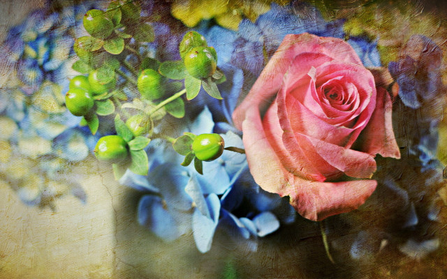 Pink rose blue flowers brown free wallpaper for desktop - medium preview image