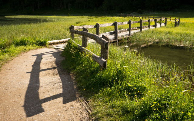 Wooden bridge stream field flowers free wallpaper for desktop - medium preview image
