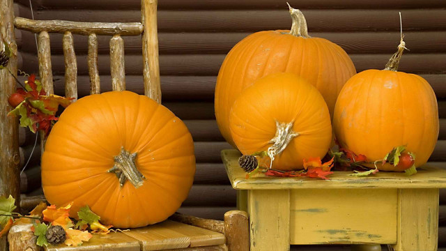 Pumpkins chair window folk art free wallpaper for desktop - medium preview image