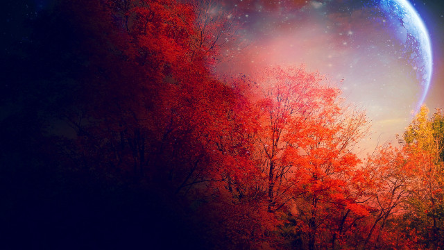 Planet trees night stars autumn free wallpaper for desktop - medium preview image