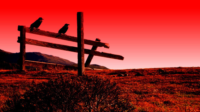 Red sky birds fence mountain free wallpaper for desktop - medium preview image