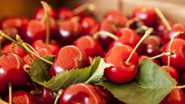 Cherries leaves bowl table blurry free wallpaper for desktop - medium preview image