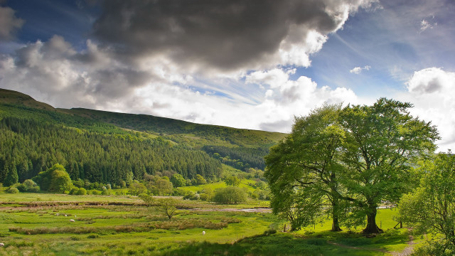 Green field tree mountain clouds free wallpaper for desktop - medium preview image