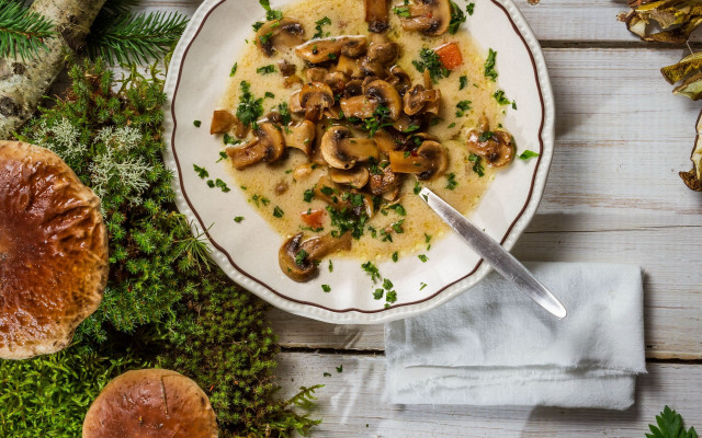 Mushroom soup bowl spoon mushrooms free wallpaper for desktop - medium preview image