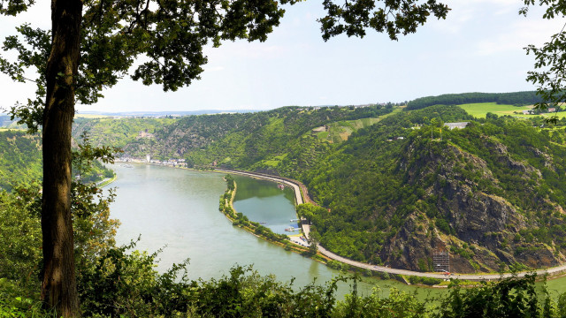 River greenhills forest road panorama free wallpaper for desktop - medium preview image