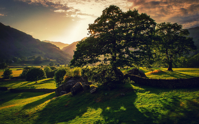 Tree field mountains sunset nature free wallpaper for desktop - medium preview image