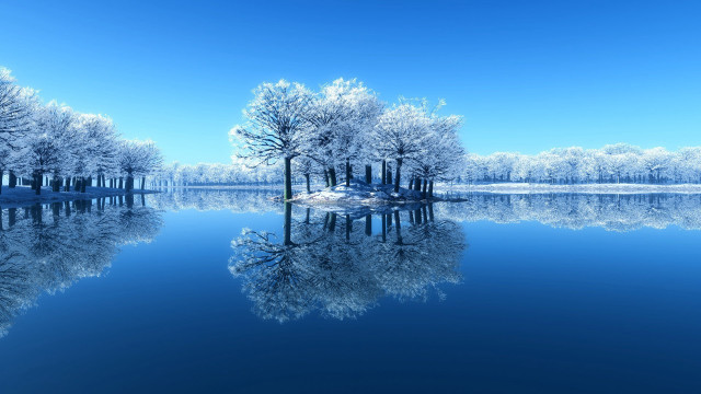Lake trees snowy shore blue free wallpaper for desktop - medium preview image