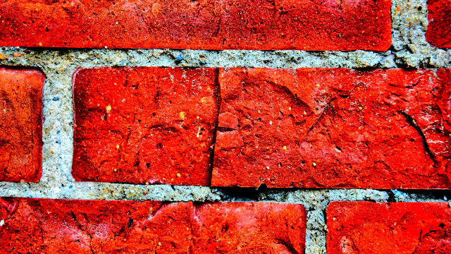 Brick wall autumn leaves macro free wallpaper for desktop - medium preview image
