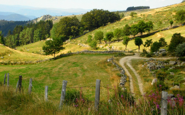 Dirt road lush hill fence free wallpaper for desktop - medium preview image