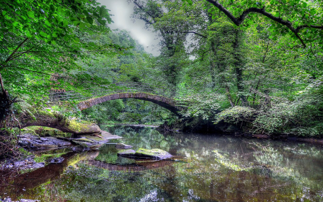 Bridge river forest boat night free wallpaper for desktop - medium preview image