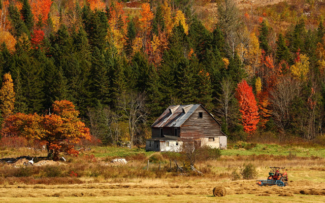 Farmhouse tractor fall leaves autumn free wallpaper for desktop - medium preview image