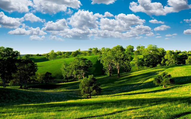 Green field trees clouds blue #7 free wallpaper for desktop - medium preview image