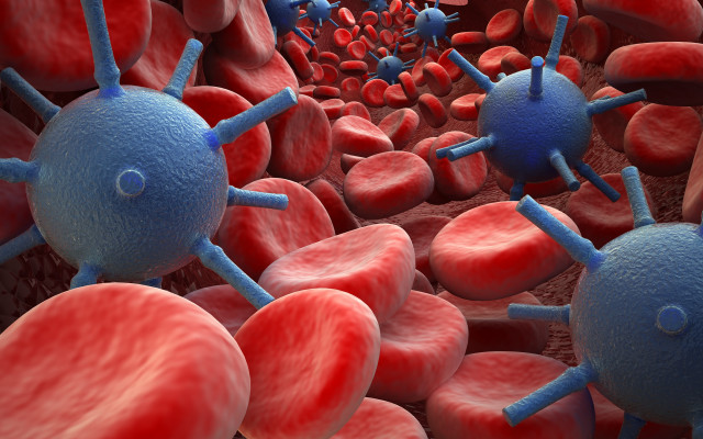 Blood cells vein 3d illustration free wallpaper for desktop - medium preview image