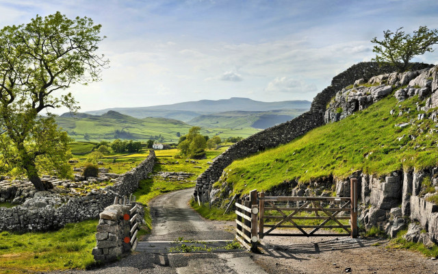 Stone wall road gate grassy free wallpaper for desktop - medium preview image
