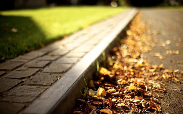 Bench road autumn fire scene free wallpaper for desktop - medium preview image