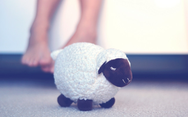 Small stuffed sheep tilt shift free wallpaper for desktop - medium preview image