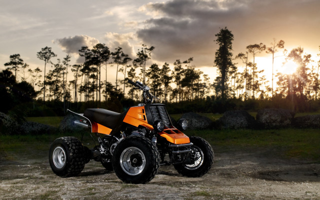 Orange fourwheeler dirtroad sunset forest free wallpaper for desktop - medium preview image