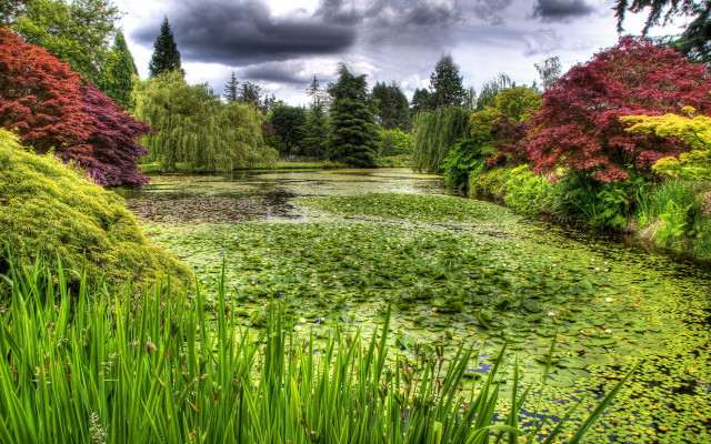 Pond green flowers trees clouds free wallpaper for desktop - medium preview image