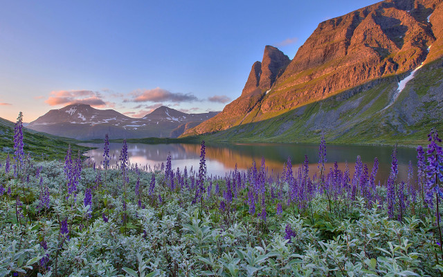 Mountain lake purple flowers nature free wallpaper for desktop - medium preview image