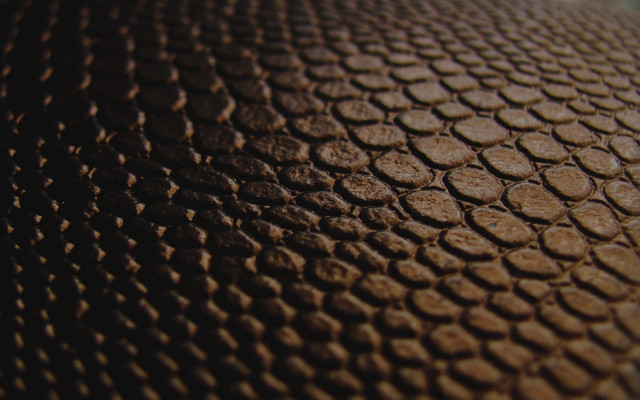 Brown circles texture generative fence free wallpaper for desktop - medium preview image