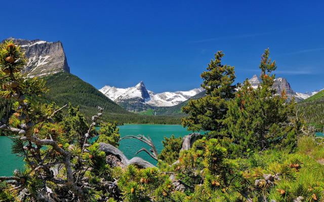 Lake mountains trees sky snow #2 free wallpaper for desktop - medium preview image