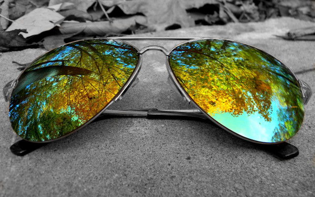 Sunglasses tree reflection ground leaves free wallpaper for desktop - medium preview image