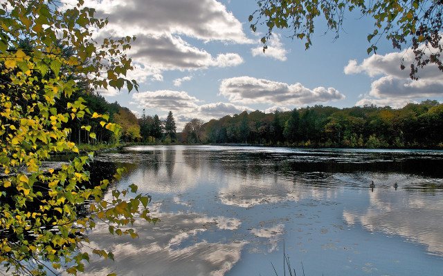 Lake forest clouds ducks sunset free wallpaper for desktop - medium preview image