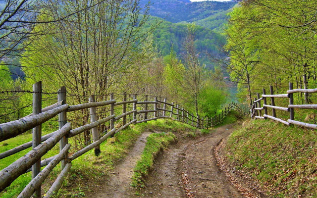 Dirt path wooden fence forest free wallpaper for desktop - medium preview image