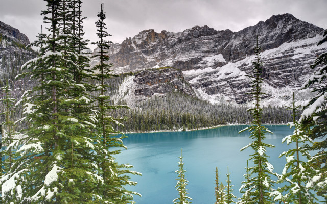 Mountain lake forest snowy sky #4 free wallpaper for desktop - medium preview image