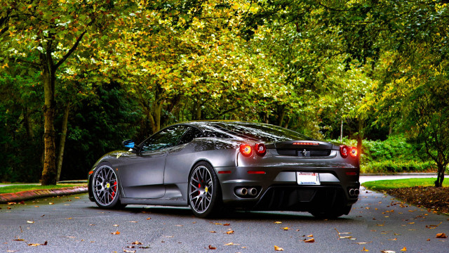 Car forest street matte nature free wallpaper for desktop - medium preview image