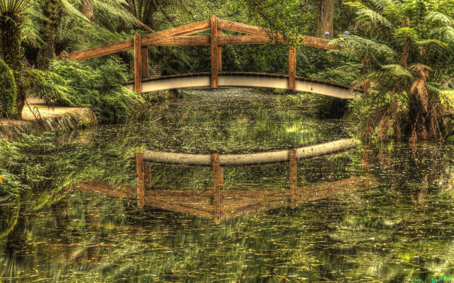 Bridge pond trees plants forest free wallpaper for desktop - medium preview image