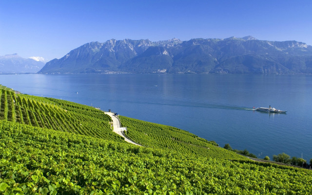 Boat vineyard hills mountains landscape free wallpaper for desktop - medium preview image