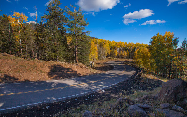 Curved road forest mountain autumn free wallpaper for desktop - medium preview image