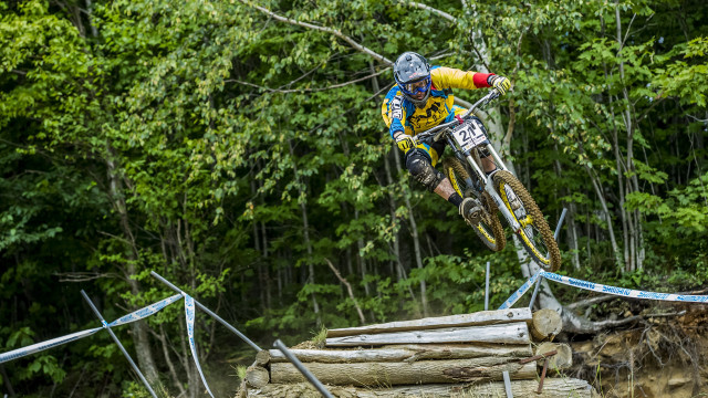 Woodland bicycle bridge motion blur free wallpaper for desktop - medium preview image