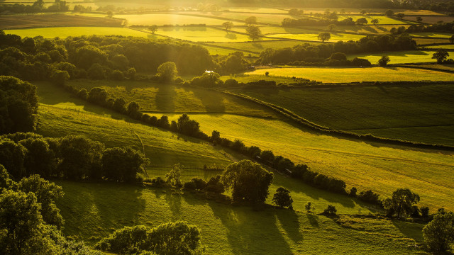 Green forest horizon sunset city free wallpaper for desktop - medium preview image