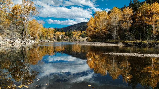 River trees yellow leaves blue #2 free wallpaper for desktop - medium preview image