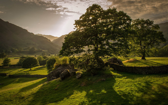 Tree field mountains sunbeam clouds free wallpaper for desktop - medium preview image