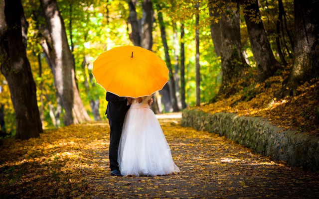 Bride groom umbrella autumn forest free wallpaper for desktop - medium preview image