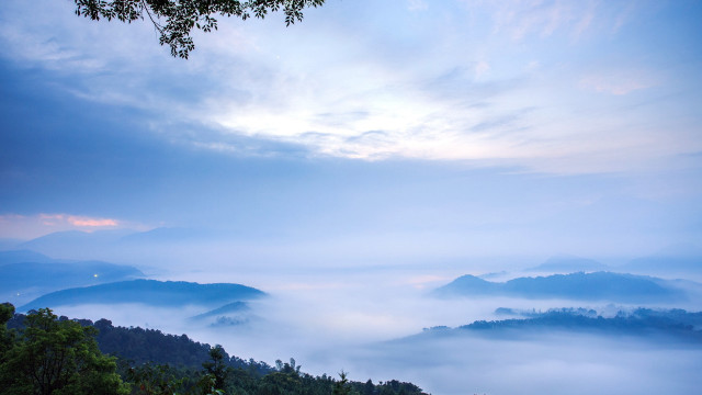 Mountain range foggy sky trees free wallpaper for desktop - medium preview image