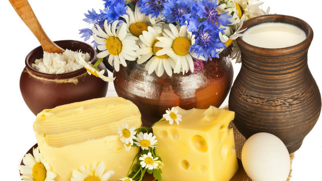 Flower vase cheese milk stilllife free wallpaper for desktop - medium preview image