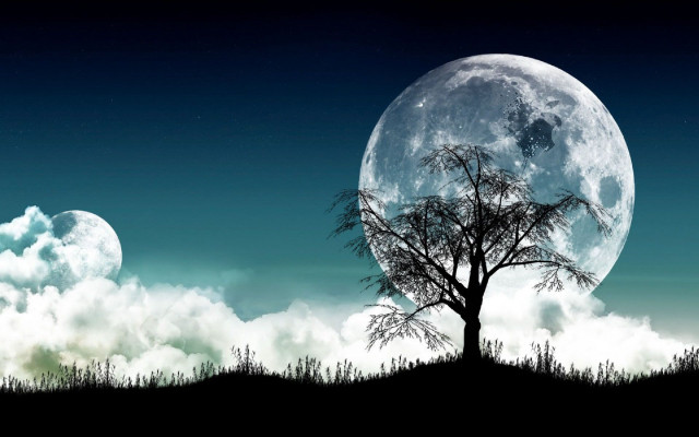 Tree field fullmoon clouds background free wallpaper for desktop - medium preview image