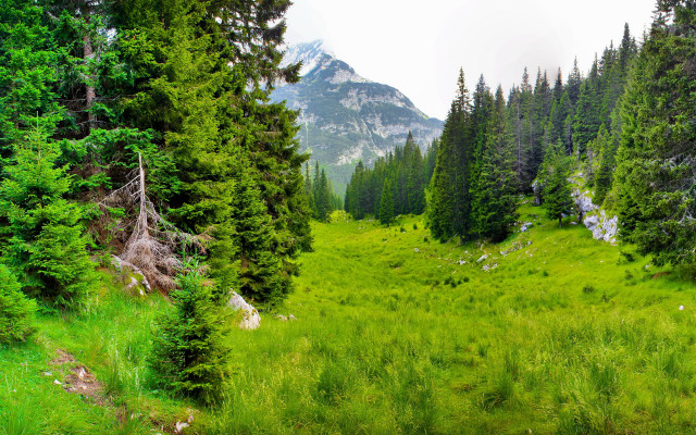 Grassy field trees mountains cloudy #2 free wallpaper for desktop - medium preview image