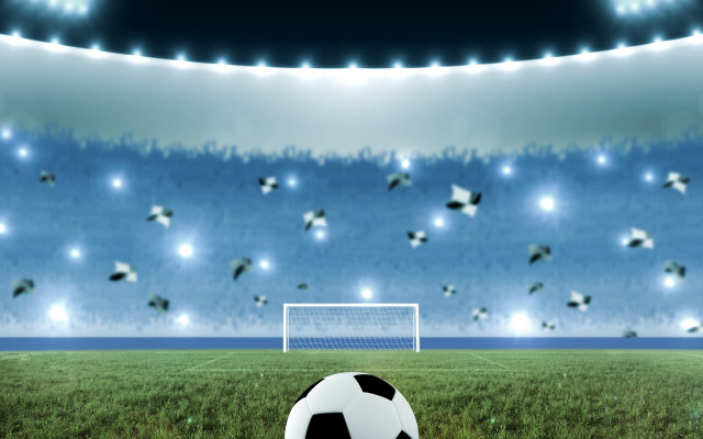 Soccer ball stadium birds light free wallpaper for desktop - medium preview image