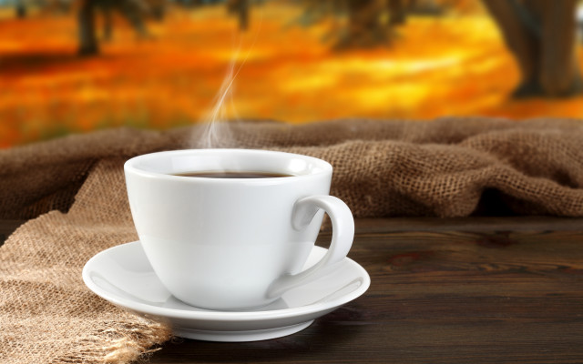 Coffee saucer table blanket tree free wallpaper for desktop - medium preview image