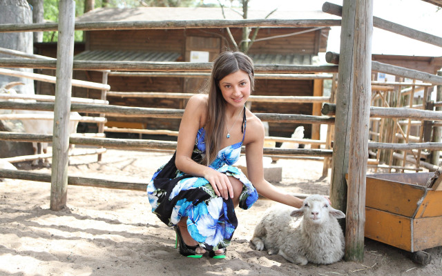 Woman sheep pen fence building free wallpaper for desktop - medium preview image