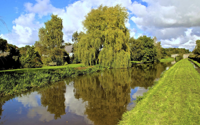 River grassy bank trees cloudy free wallpaper for desktop - medium preview image