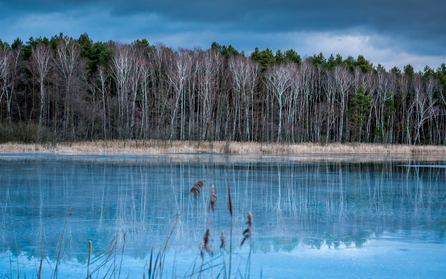 Lake forest clouds bush reflection free wallpaper for desktop - medium preview image